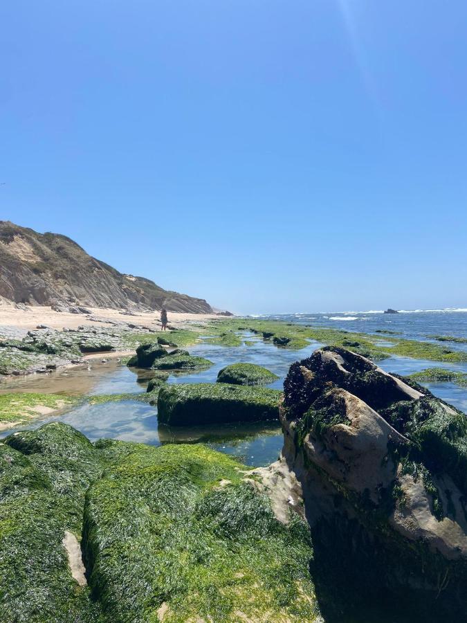 Starfish Beach House 상페드루 지 모엘 외부 사진